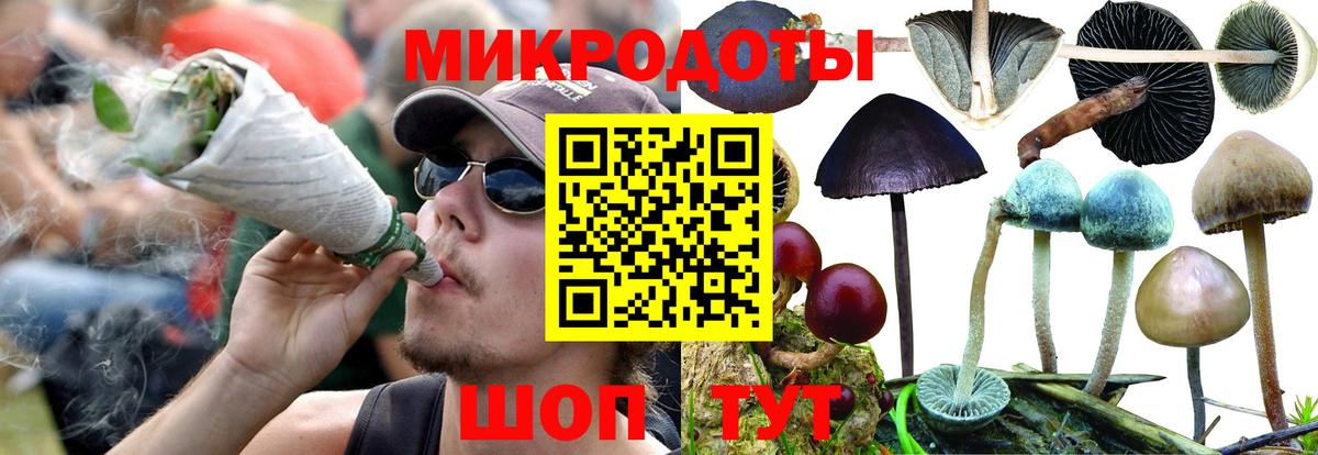 Псилоцибиновые грибы мухоморы  хочу   Сланцы  Галлюциногенные грибы Magic Shrooms  Вход с VPN 
