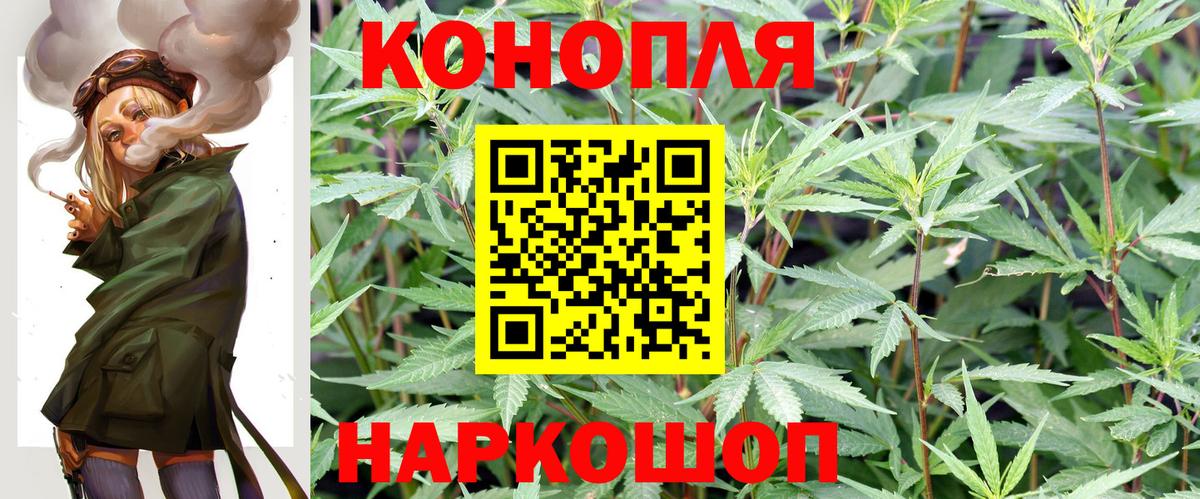 Конопля конопля  Бошки марихуана White Widow  Каннабис конопля  Вход с VPN  Сланцы 